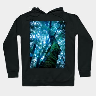 Rainforest Giant Hoodie